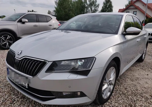 Skoda Superb cena 62900 przebieg: 250000, rok produkcji 2018 z Ostrołęka